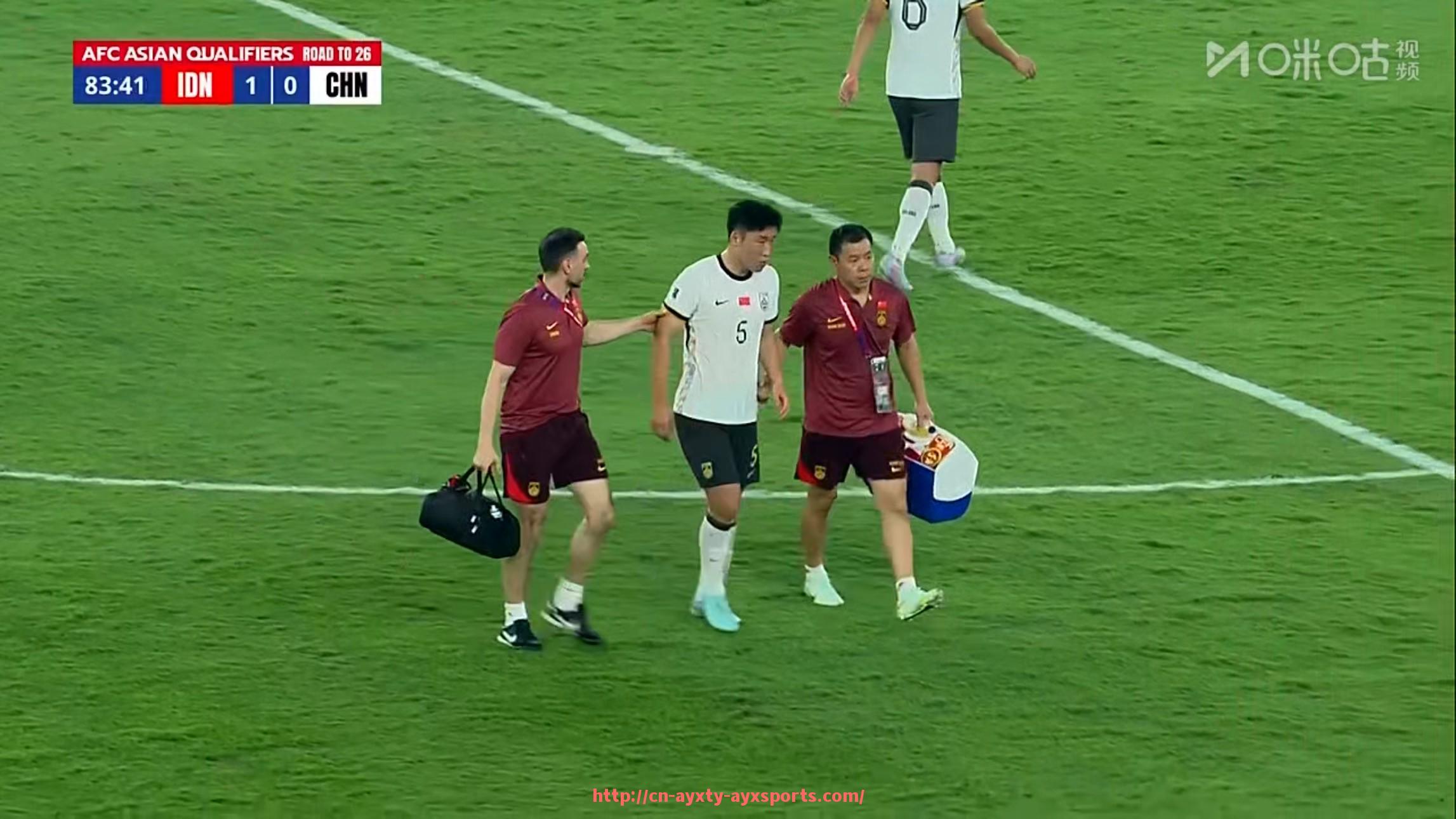 爱游戏体育-法甲非欧盟球员条件：非欧盟球员的注册与参与条件