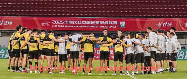 爱游戏体育-莱万多夫斯基成为德甲球队核心球员的历程