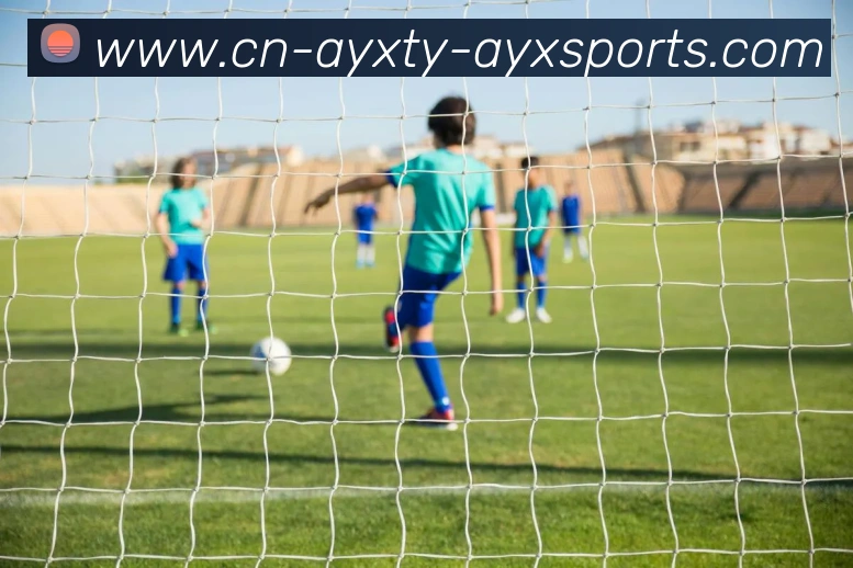 爱游戏品牌故事