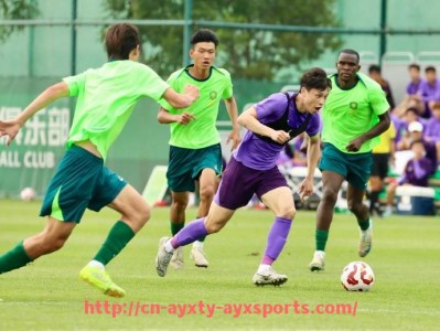 爱游戏体育-世俱杯数据可视化分析平台推荐与使用教程