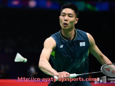 爱游戏体育-英超球员收入水平分析及与其他联赛对比